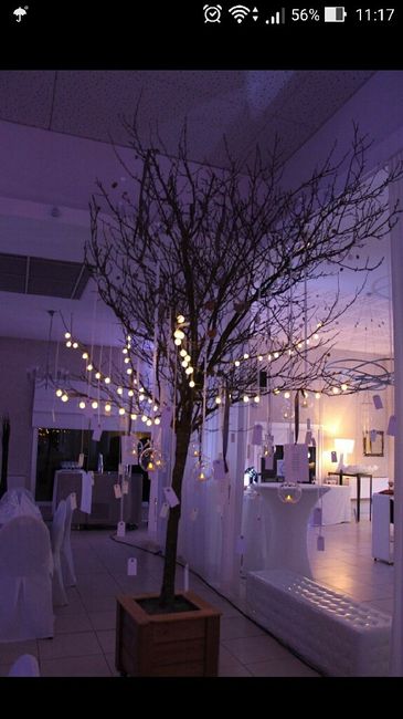 Arbre a bonbon - 1