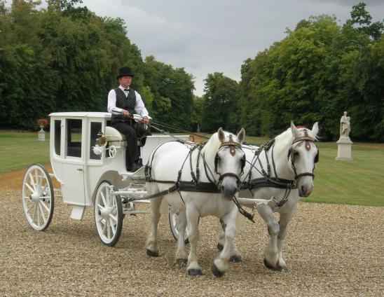 Arrivée des mariés...