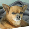 Lydie