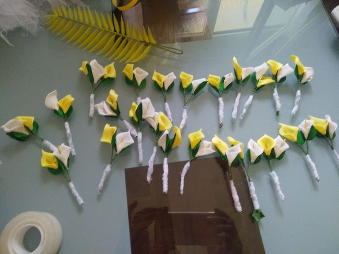 Signes distinctifs 2