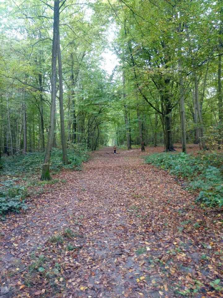  Lieu de vos photos de couple et de groupe - 3