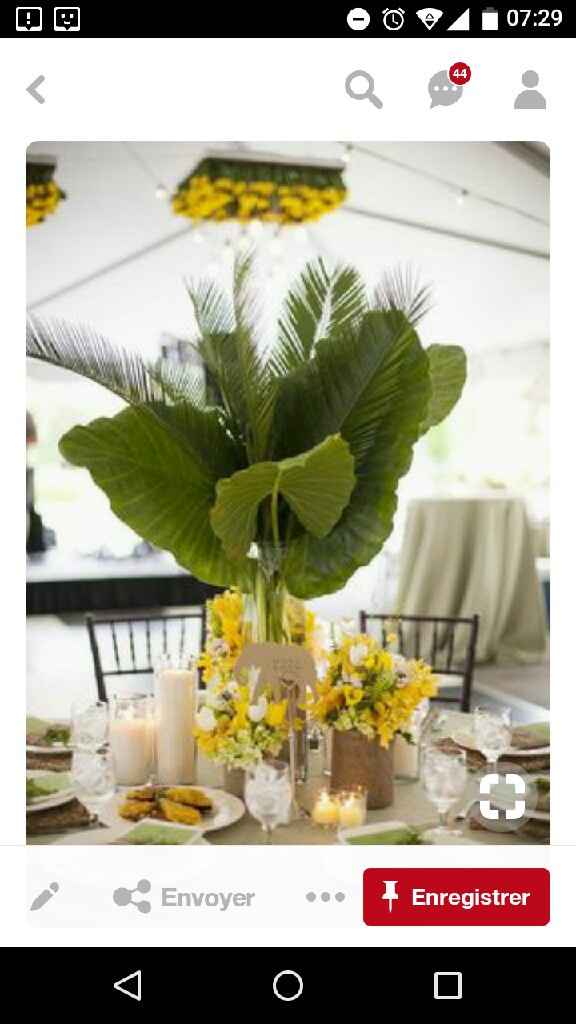  Mon thème: les îles tropicales et exotiques - 5