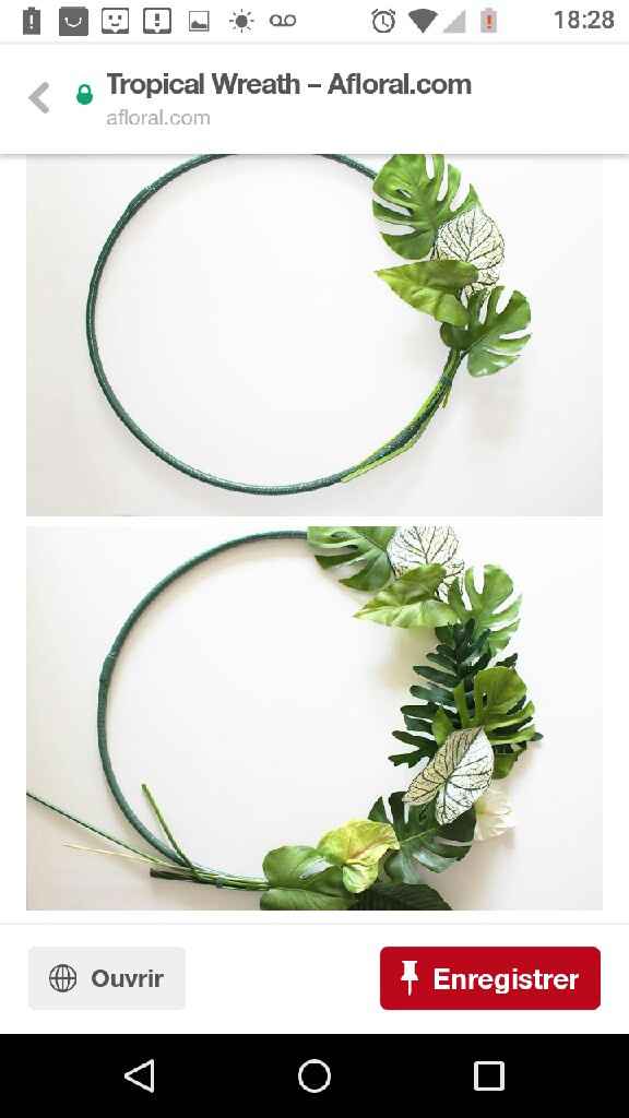  Couronne troipcal suspendu besoin de conseils. - 2