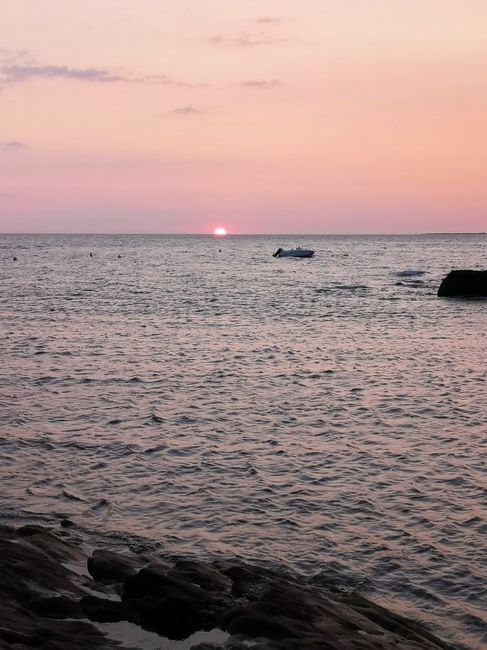 Ta demande en mariage s'est faite à quel moment de la journée ? 💍 1