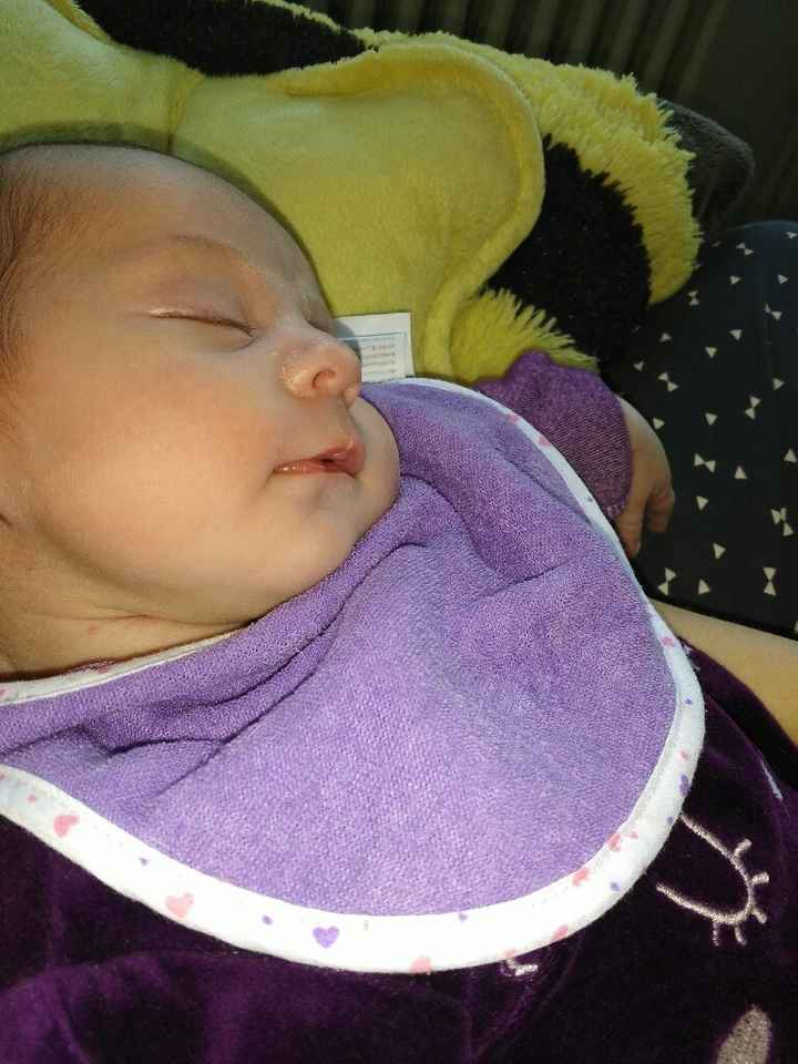 Bébé est arrivé ! - 1
