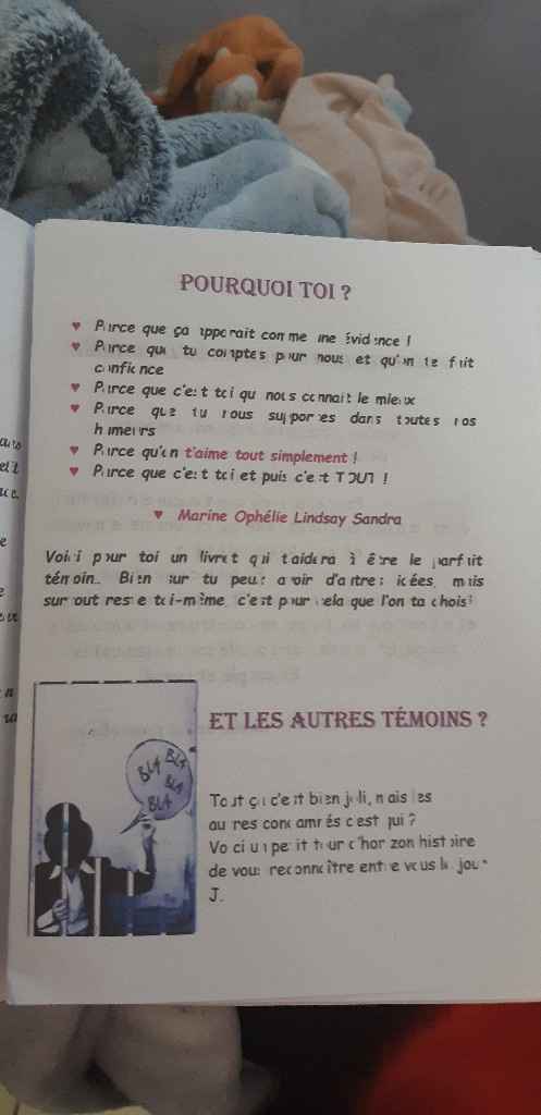Guide du parfait témoin - 3