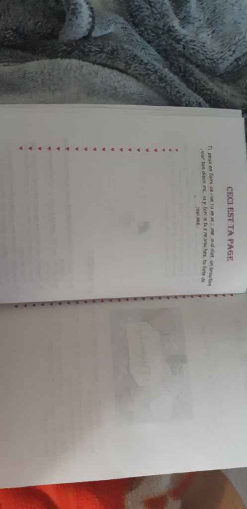 Guide du parfait témoin - 2