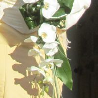 bouquet 