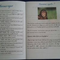 Ma petite gazette !!! - 3