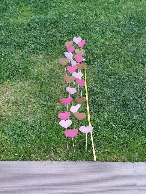 Votre avis pour une allée pics coeur 1