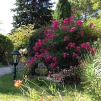 Love note du 47 pour toutes les filles, normalement. - 9