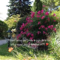 Love note du 47 pour toutes les filles, normalement. - 12