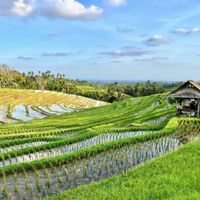Voyage de Noces booké!!! - 2