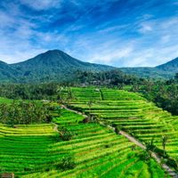 Voyage de Noces booké!!! - 6