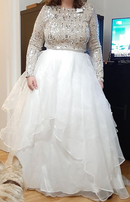 Dilemme sur ma robe - 1