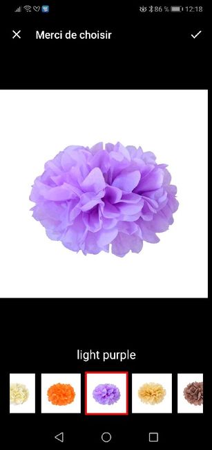 Pompoms de voiture help! - 1