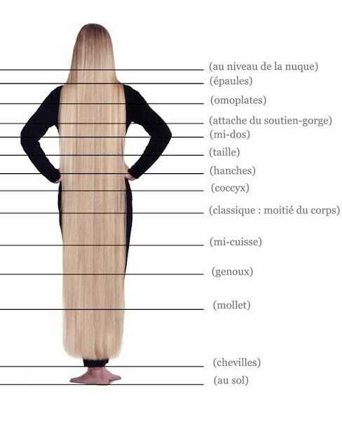 La longueur de vos cheveux - 1