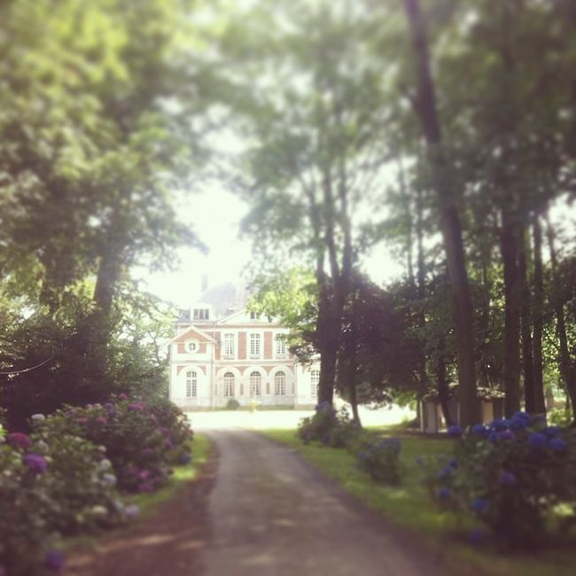 Salle de mariage - 1