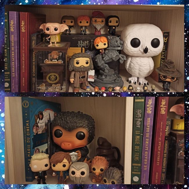 Mariage thème Harry Potter 1