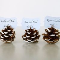 pommes de pin décoratives