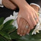 Smp Tournages Mariages
