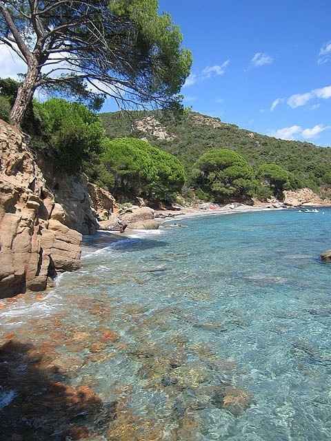 Corse