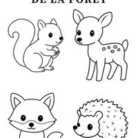 Activité enfant - 12