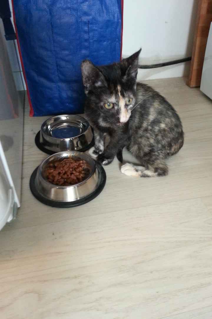 La nouvelle fille de la maison!!