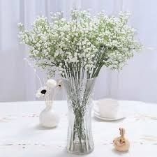 Gypsophile