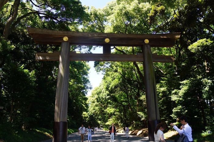 Entrée du parc