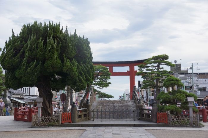 Tsurugaoka Hachimangu shrine