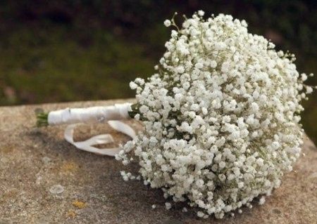 Bouquet de gypsophile