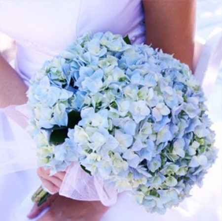 Bouquet d'hortensias 