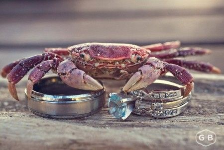Idées originales pour prendre vos alliances en photos - 7