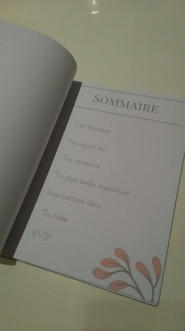 Kit du parfait temoin - 2
