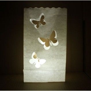 lanterne papillon 