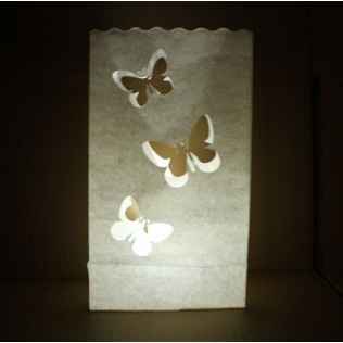 lanterne papillon 