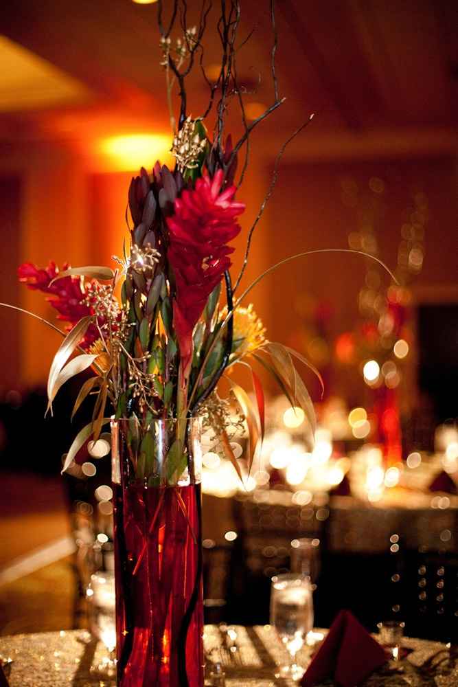 décoration star trek