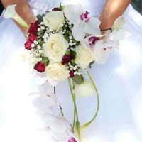 Notre 13 août 2016 - 3