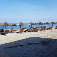 Recherche lieu de mariage Corse ou France métropolitaine... - 1