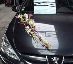 A nouveau plus dans le design