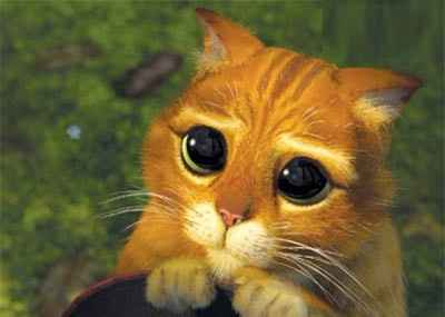 Au pire passe a l'etape superieure,.. Le regard de merlan frit, avec le sourire qui va avec, le mass