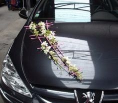 A nouveau plus dans le design