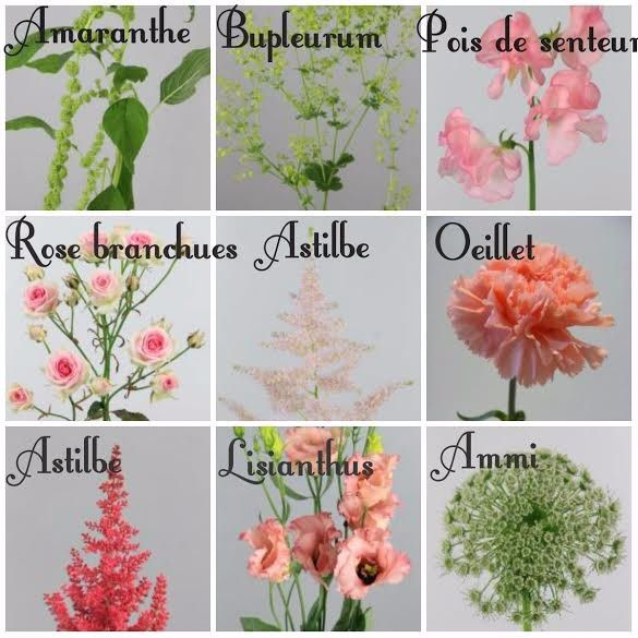 .......................;