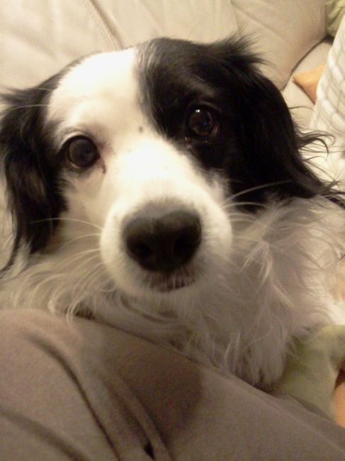Lilou