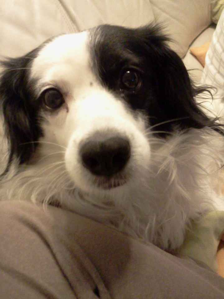 Lilou