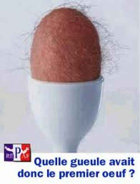 oeuf poilu