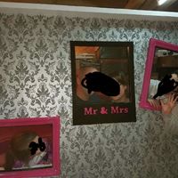 Il est manifaike - 1