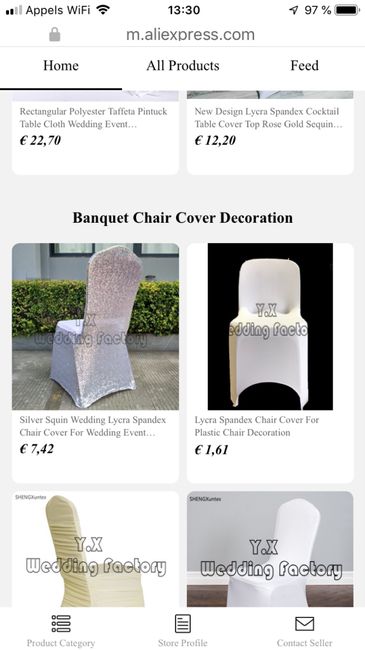 House de chaise silver - 1