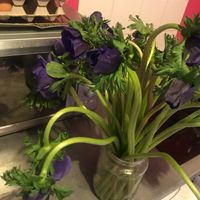 Fleur de mariée - 2